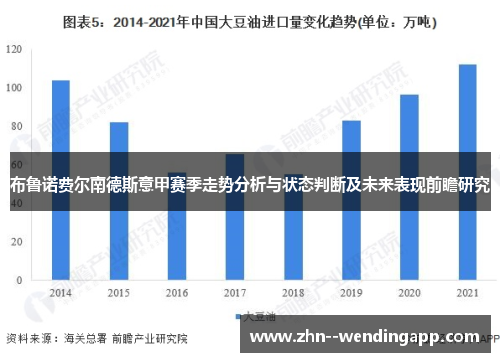 布鲁诺费尔南德斯意甲赛季走势分析与状态判断及未来表现前瞻研究