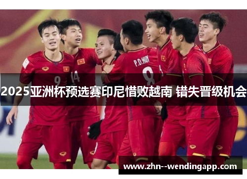 2025亚洲杯预选赛印尼惜败越南 错失晋级机会