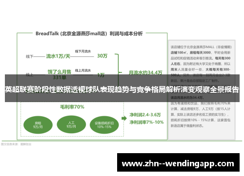 英超联赛阶段性数据透视球队表现趋势与竞争格局解析演变观察全景报告