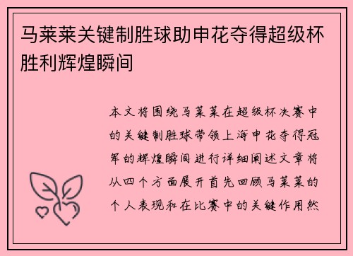 马莱莱关键制胜球助申花夺得超级杯胜利辉煌瞬间